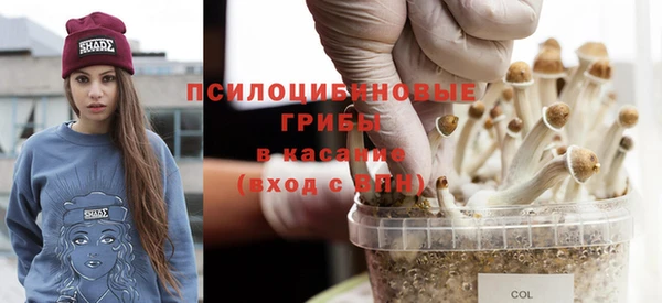 винт Алексеевка